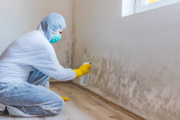 Licensed Crawl Space Mold Removal service in Laurel, FL - WQB Mold Removal