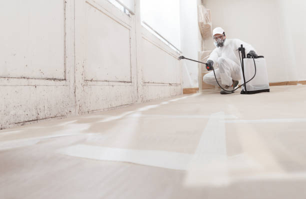 24/7 Emergency Crawl Space Mold Removal experts in Laurel, FL