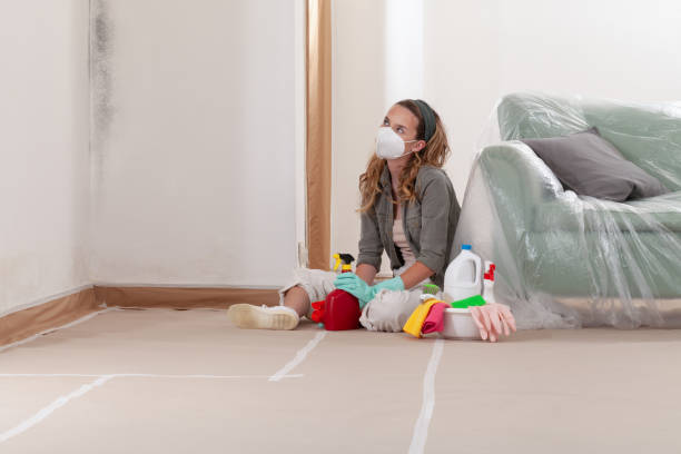 Reliable Crawl Space Mold Removal contractor in Laurel, FL by WQB Mold Removal